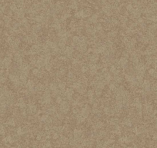 Loymina Shade SD3 005/2